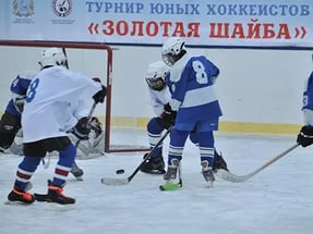 Младшая группа хоккеистов из Лысогорского района приняла участие в областном турнире "Золотая шайба"