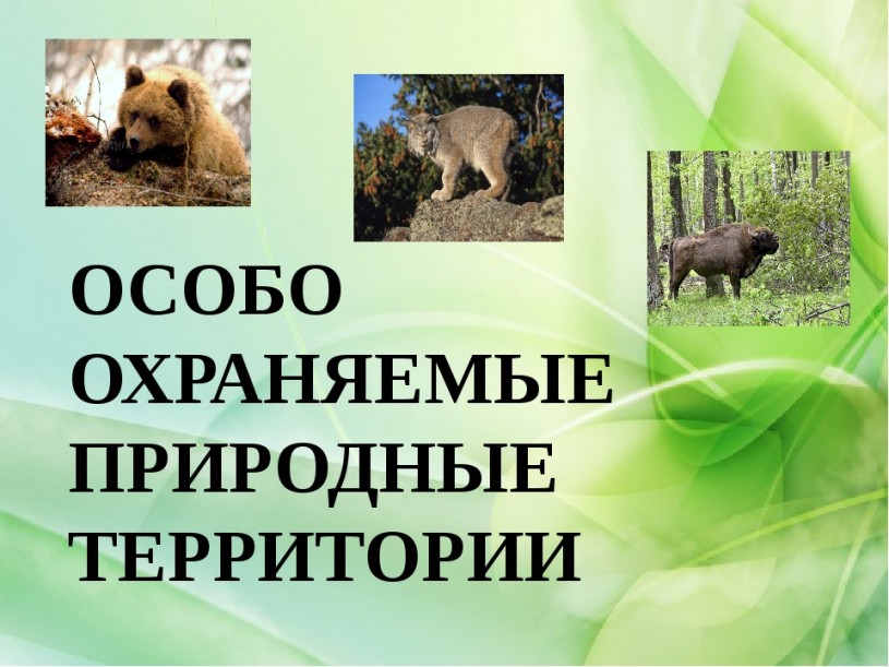 В Саратовской области учтено около 65% особо охраняемых природных территорий