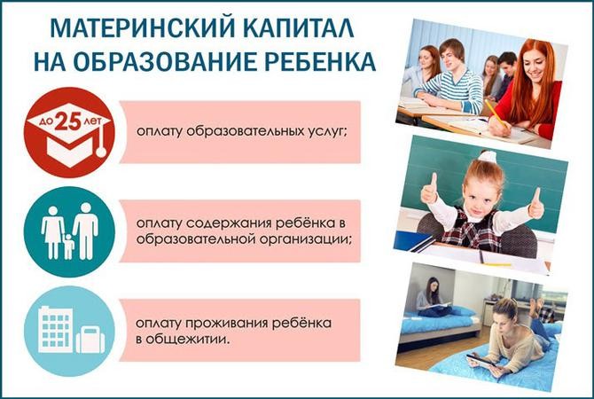 Более 500 миллионов рублей на обучение детей региона