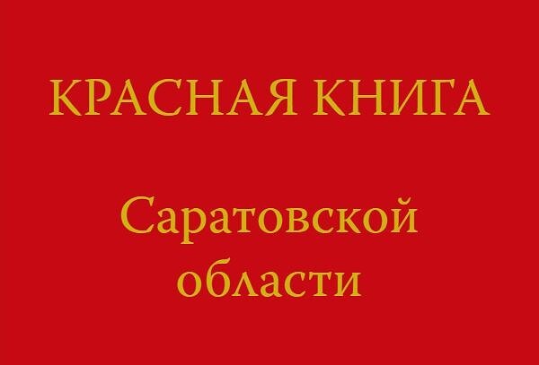 ​В этом году выходит третье издание Красной книги Саратовской области