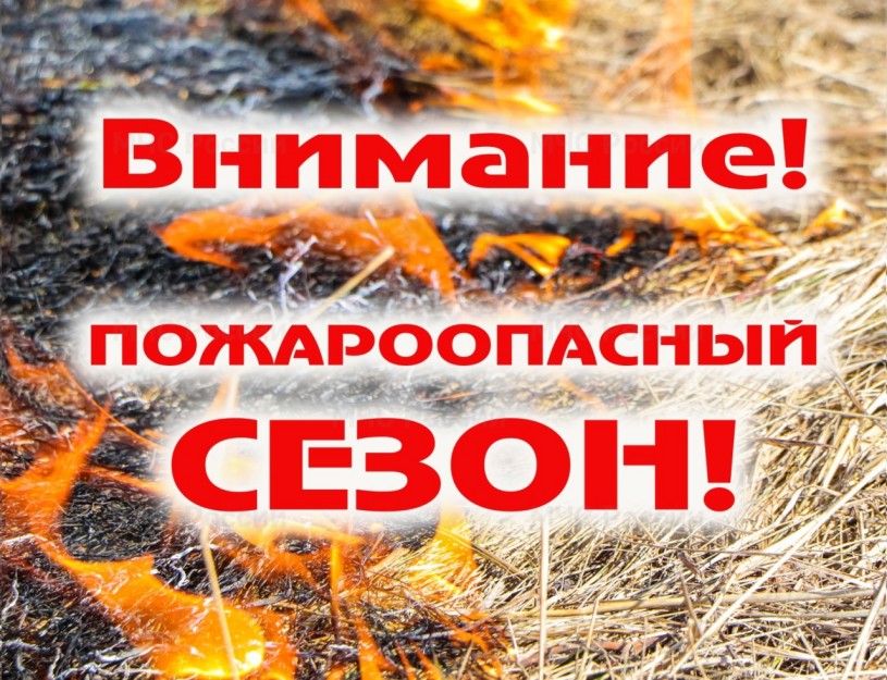О начале пожароопасного сезона 2024 года и утверждении перечня населенных пунктов, граничащих с лесными насаждениями на  территории Лысогорского муниципального района